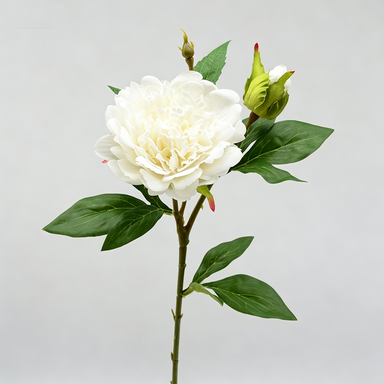 Artificial Peony Stem, Realistic Peony Bush with 2 Blooms, 26" Tall, Home Decor, Table Centerpiece, Photography Prop