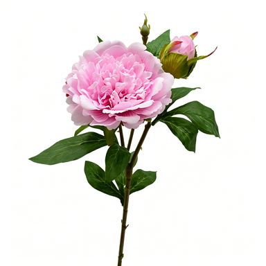 Artificial Peony Stem, Realistic Peony Bush with 2 Blooms, 26" Tall, Home Decor, Table Centerpiece, Photography Prop
