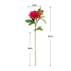Artificial Peony Stem, Realistic Peony Bush with 2 Blooms, 26" Tall, Home Decor, Table Centerpiece, Photography Prop