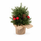 Mini Christmas Tree Decor, Set of 3 Sizes, Tabletop Pinecone Christmas Tree Ornament, Holiday Home Decor