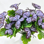 Artificial Butterfly Bush, Set of 5 Stems, 11" Tall, Light Luxury Style, Perfect for Weddings, Home Decor, and Photo Props
