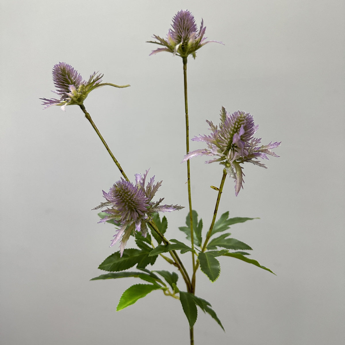 Artificial Eryngo Bush, 24" Tall, Plastic Ins Style Floral Arrangement, Wedding & Home Decor