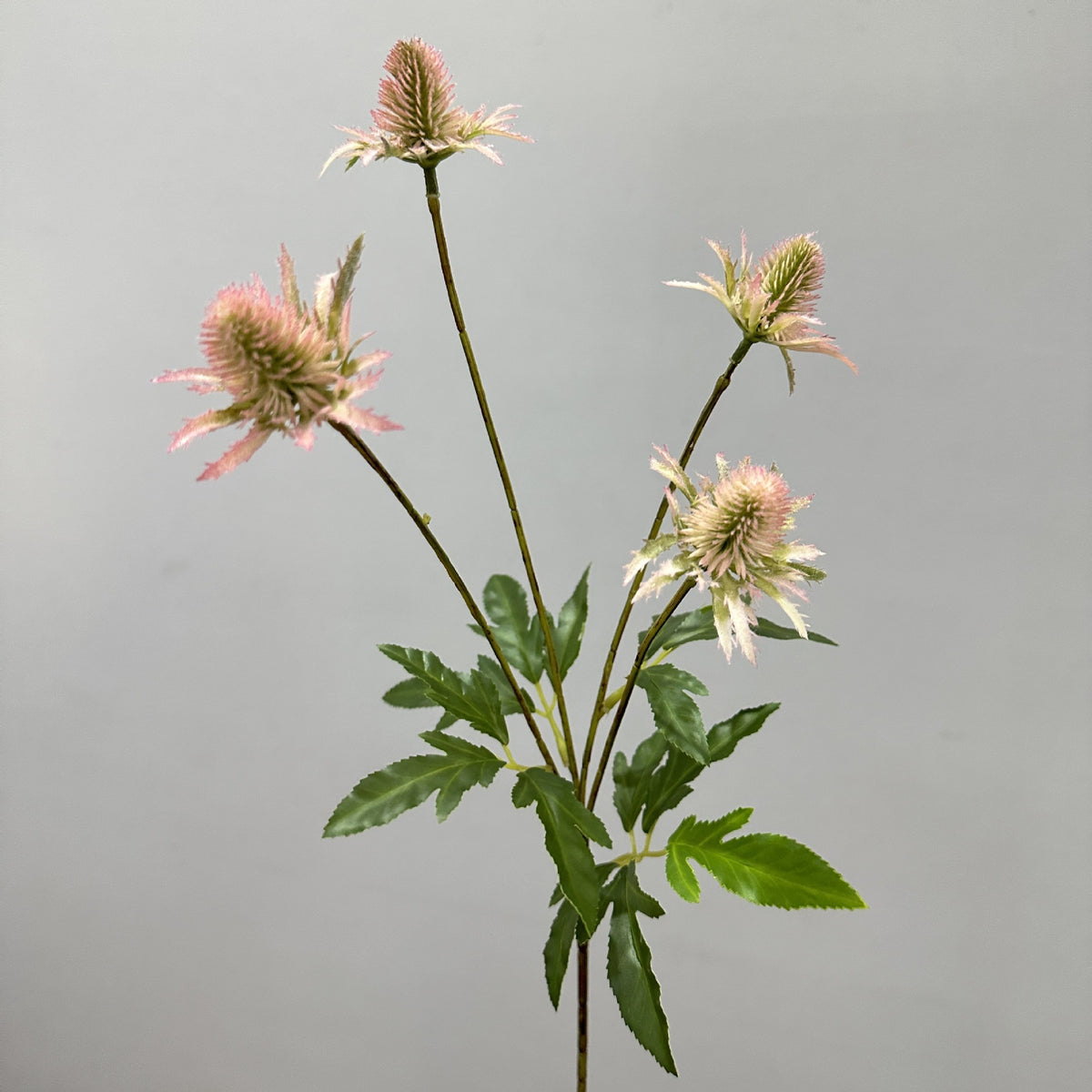 Artificial Eryngo Bush, 24" Tall, Plastic Ins Style Floral Arrangement, Wedding & Home Decor