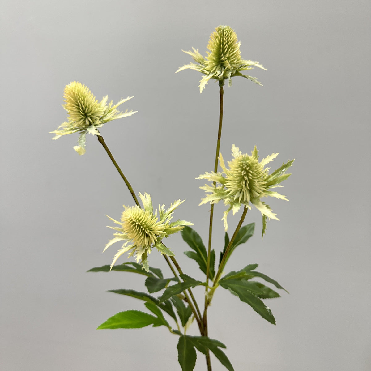 Artificial Eryngo Bush, 24" Tall, Plastic Ins Style Floral Arrangement, Wedding & Home Decor