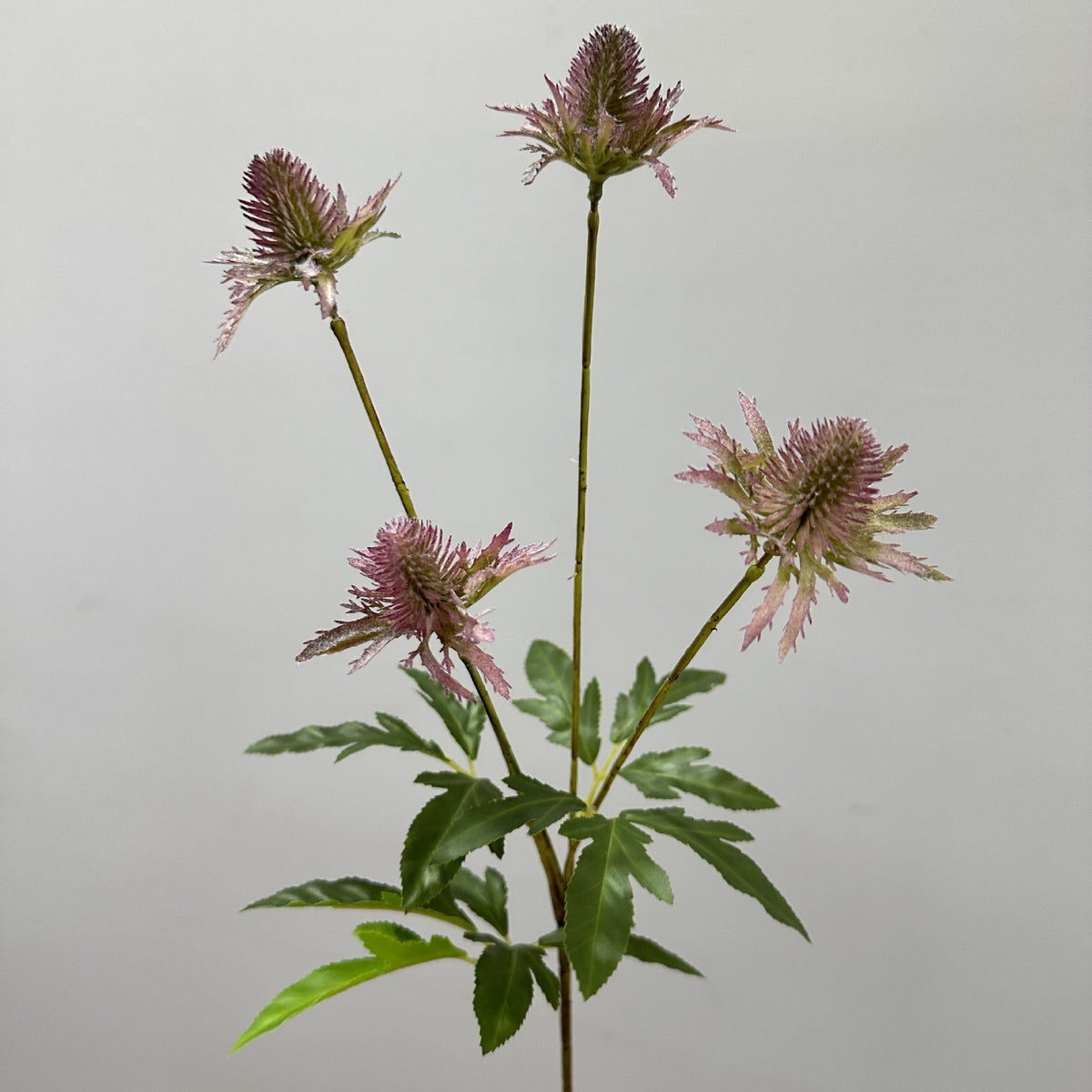 Artificial Eryngo Bush, 24" Tall, Plastic Ins Style Floral Arrangement, Wedding & Home Decor
