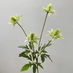 Artificial Eryngo Bush, 24" Tall, Plastic Ins Style Floral Arrangement, Wedding & Home Decor