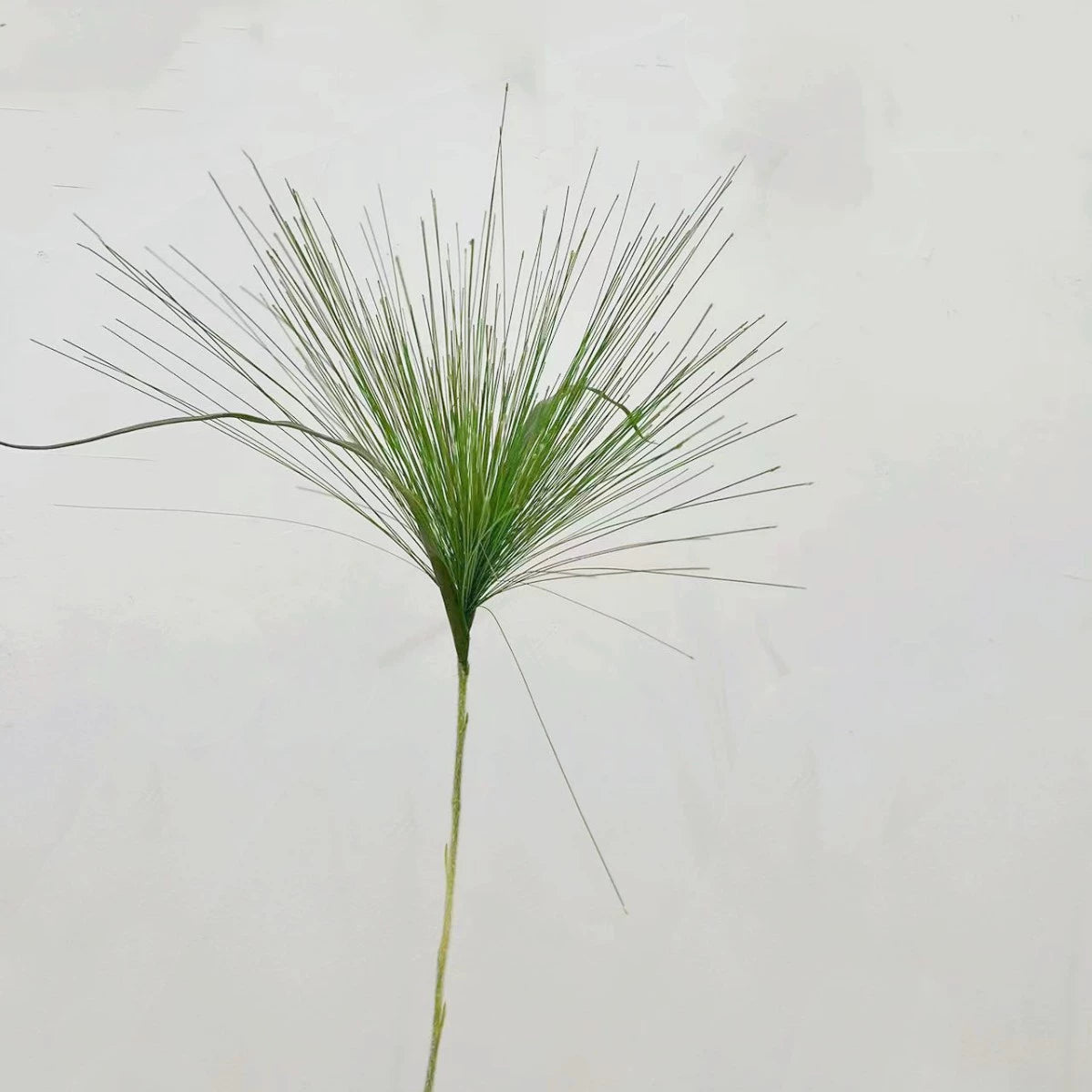 Artificial Fountain Grass Plant, 36" Tall, Realistic PE/PVC Material, Indoor & Outdoor Decor, Includes Pot