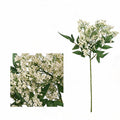 Artificial Nandina Berry Bush, 16" Tall, Realistic Faux Green Plant Decoration for Home, Office, and Events