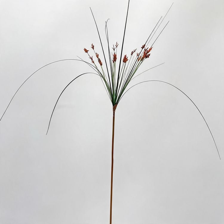 Artificial Umbrella Grass Stems, Set of 2, 53" Tall, PE/PVC Material, Modern Style, Indoor Decor for Office, Hotel, or Display