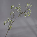 Artificial Mulberry Berries, Single Stem, 31" Tall, White and Green, Perfect for Home Decor, Floral Arrangements, and Event Styling
