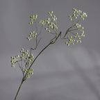 Artificial Mulberry Berries, Single Stem, 31" Tall, White and Green, Perfect for Home Decor, Floral Arrangements, and Event Styling