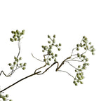 Artificial Mulberry Berries, Single Stem, 31" Tall, White and Green, Perfect for Home Decor, Floral Arrangements, and Event Styling