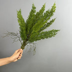 Artificial Foxtail Fern Bush, Realistic Persian Fern Plant, Tropical Greenery for Indoor Outdoor Decor, 22"