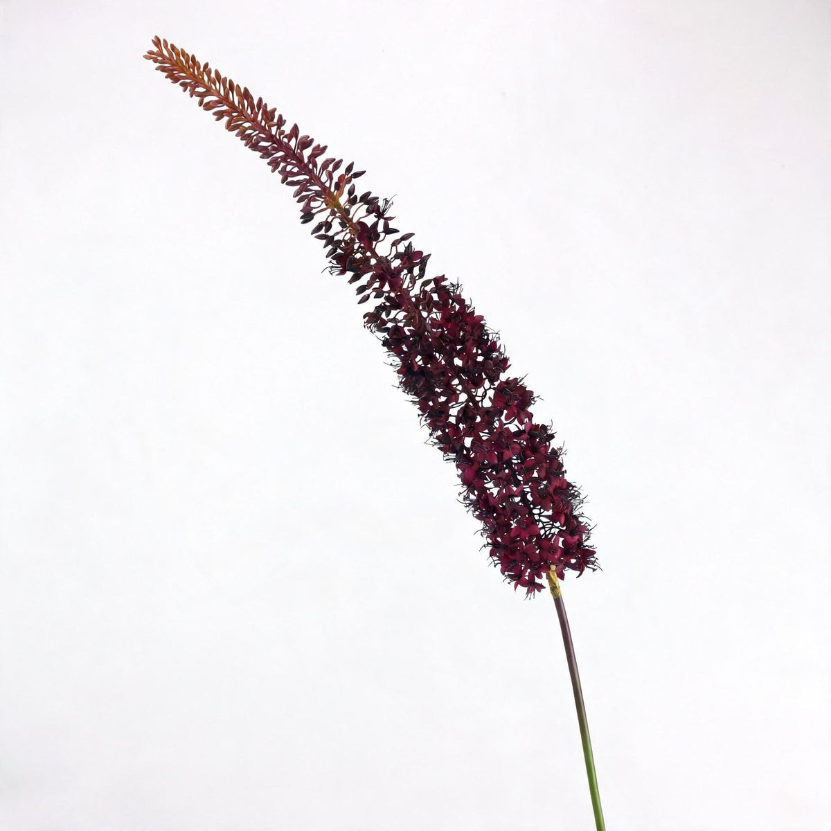 41" Artificial Foxtail Flower, Single Stem Victorian Larkspur Silk Floral for Home Decor, Vase Arrangements, Living Room Accent
