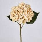 Artificial Hydrangea Single Stem, 16" Tall, 6" Bloom, Wedding & Event Decor, Indoor Use