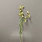 Artificial Fritillary Flower Stem, Single Stem with 12 Blooms, White & Green, 35", Silk Material, Perfect for Home, Hotel, Wedding & Window Displays