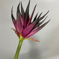 Real-Touch Artificial Phoenix Flower Stem, 33" Tall, Single Stem with Lifelike Latex Blooms, Perfect for Office, Hotel, or Display Decor