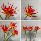 Real-Touch Artificial Phoenix Flower Stem, 33" Tall, Single Stem with Lifelike Latex Blooms, Perfect for Office, Hotel, or Display Decor