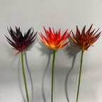 Real-Touch Artificial Phoenix Flower Stem, 33" Tall, Single Stem with Lifelike Latex Blooms, Perfect for Office, Hotel, or Display Decor