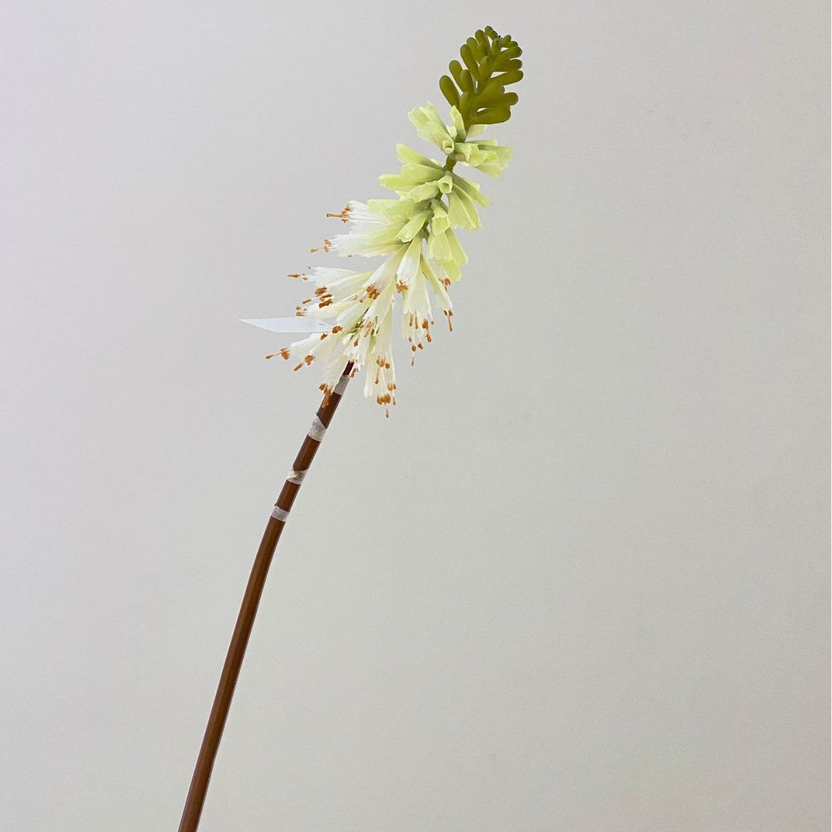 Artificial Torch Lily Stems, 28" Tall, Silk Flowers for Home, Hotel, and Window Displays, Single Stem, Bendable Design