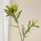 Luxury Single Stem Artificial King Protea Flower, 28" Height, Silk Material, 2 Blooms, Home & Hotel Decor, White/Green/Yellow/Pink