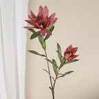 Luxury Single Stem Artificial King Protea Flower, 28" Height, Silk Material, 2 Blooms, Home & Hotel Decor, White/Green/Yellow/Pink