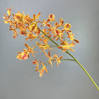 Real-Touch Spider Orchid Artificial Flower, Single Stem with 42 Blooms, 35", White, Pink, Purple, Yellow, Orange, Indoor Decor, Hotel Displays