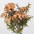 Artificial Chrysanthemum Bush, 7 Blooms, 12" Tall, Realistic Silk Flowers for Home Decor, Vase Arrangements