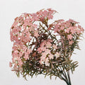 Artificial Chrysanthemum Bush, 7 Blooms, 12" Tall, Realistic Silk Flowers for Home Decor, Vase Arrangements