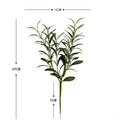 Artificial Olive Branch, Faux Olive Leaves Stems, Set of 72 Realistic Olive Leaf Stems for Home Decor, Office, Hotel, 19" Tall (No Pot Included)