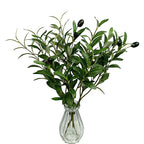 Artificial Olive Branch, Faux Olive Leaves Stems, Set of 72 Realistic Olive Leaf Stems for Home Decor, Office, Hotel, 19" Tall (No Pot Included)