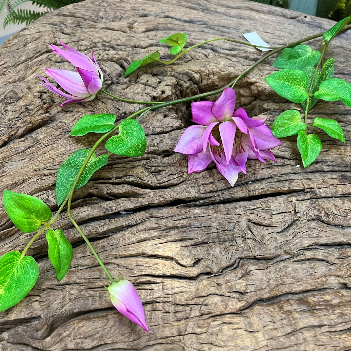 Artificial Clematis Leaf Stem, 35" Tall, Silk Floral Single Stem with 3 Blooms, Perfect for Home Decor, Hotel Displays, and Window Styling