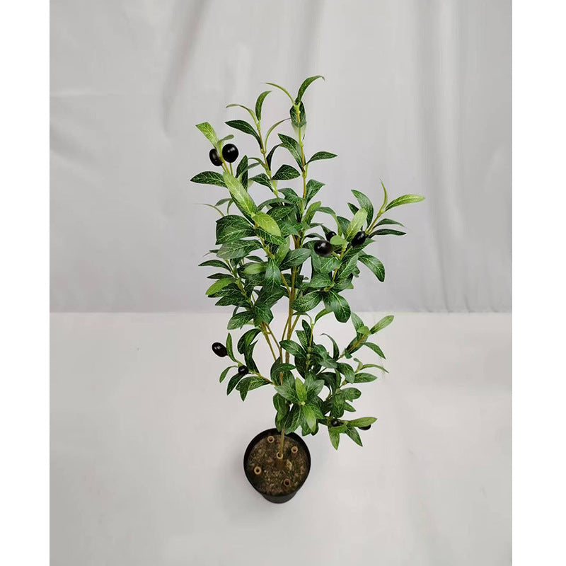 Artificial Olive Branch, Faux Olive Leaves Stems, Set of 72 Realistic Olive Leaf Stems for Home Decor, Office, Hotel, 19" Tall (No Pot Included)