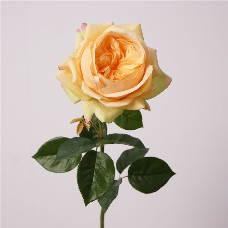 69cm Real Touch Blooming Rose Stems