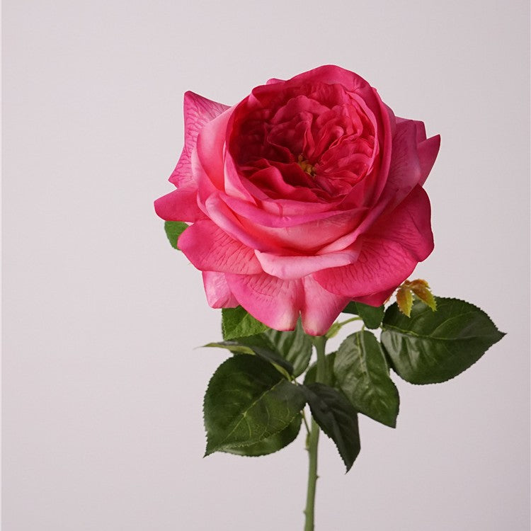 69 cm Real Touch Finish Blooming Rose Stems