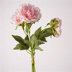 3Pcs 60cm Real Touch Peony Stems Lifelike Silk Floral Arrangements