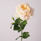69 cm Real Touch Finish Blooming Rose Stems