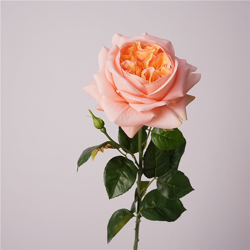 69 cm Real Touch Finish Blooming Rose Stems