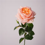 69 cm Real Touch Finish Blooming Rose Stems