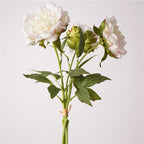 3Pcs 60cm Real Touch Peony Stems Lifelike Silk Floral Arrangements